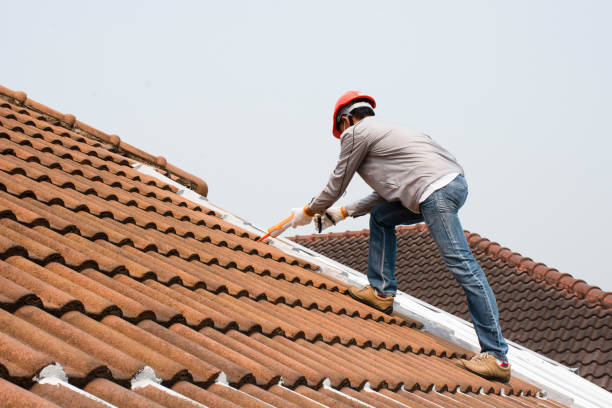 Best Storm Damage Roof Repair  in Blue Ridge, GA